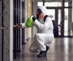 Environmental Consulting for Mold Prevention in Newcastle, WA